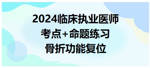 骨折功能復位