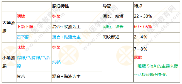 唾液腺
